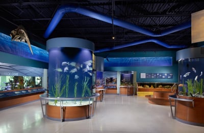 south-florida-science