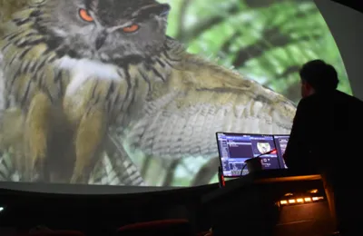 new-canaan-dome-owl