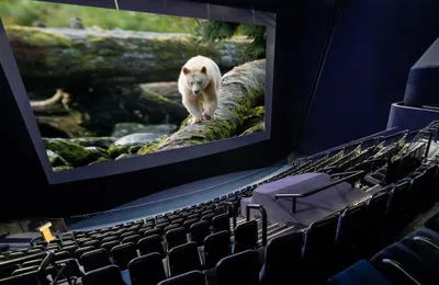 Gatineau QC Canadian Museum of History Interior