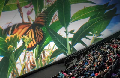 cleveland-clinic-dome-theater-interior